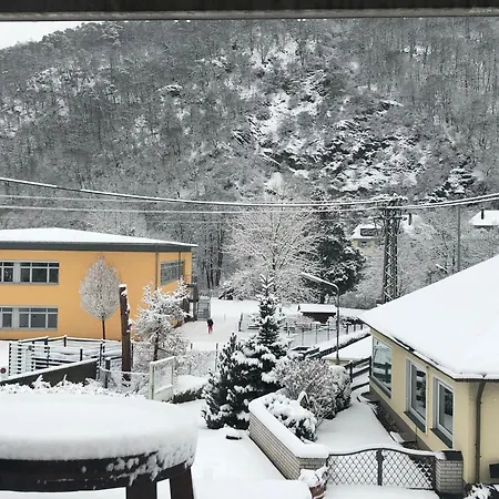 Rheinliebe Bistro Und Penzion *